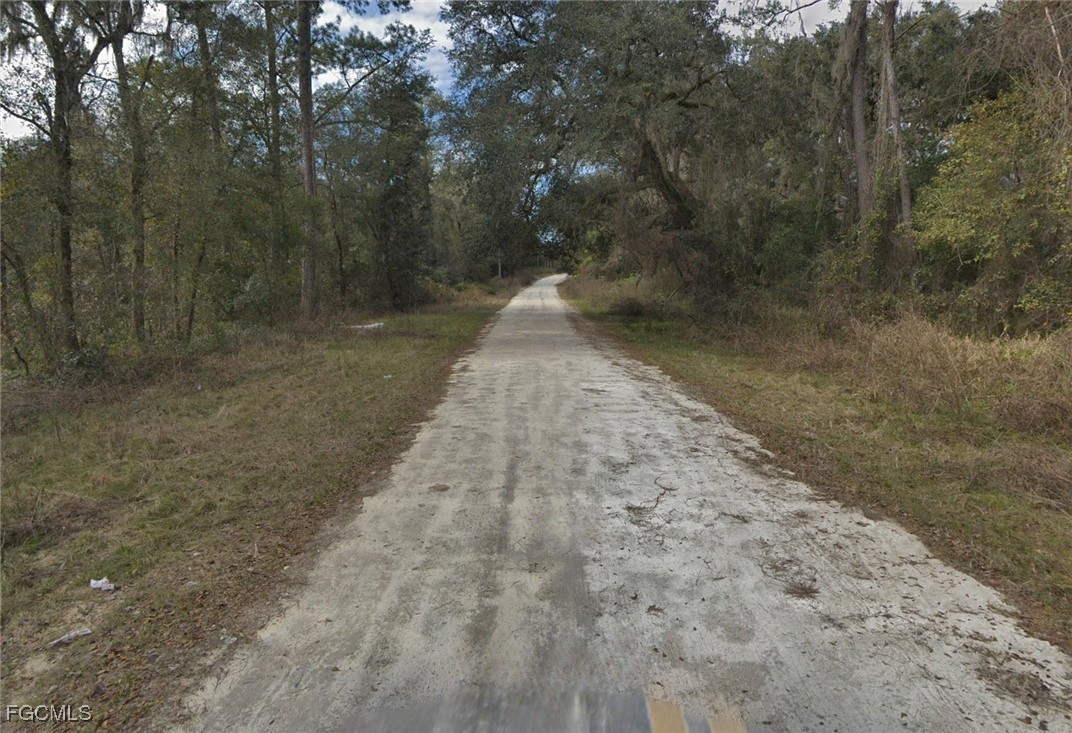 Crosby Road Florahome, FL 32140 - Photo 4 of 6