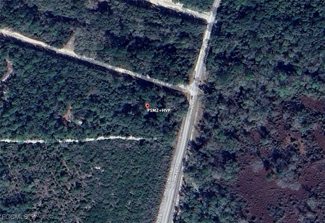 Crosby Road Florahome, FL 32140 - Photo 5 of 6