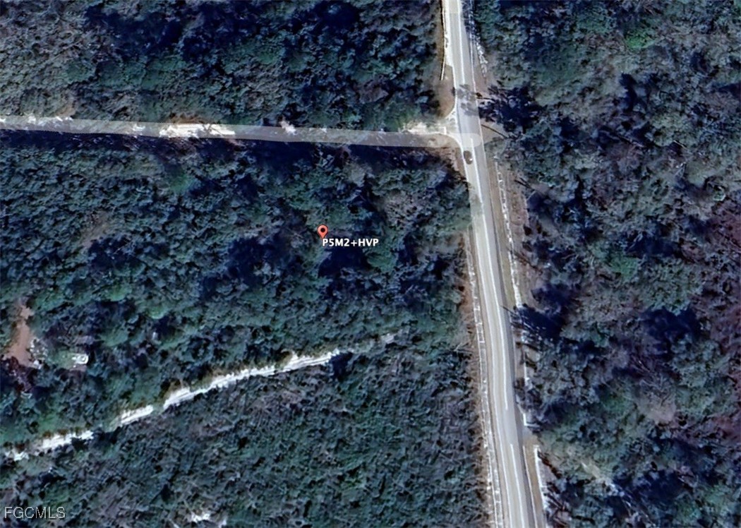 Crosby Road Florahome, FL 32140 - Photo 6 of 6