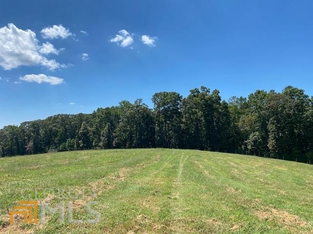0 Hendley Roopville, GA 30170 - Photo 1 of 1 a backyard of a house with lots of green space