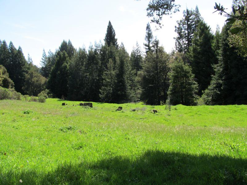0 Two Two Bar Road Boulder Creek, CA 95006 - Photo 11 of 70 Gallery Image 11