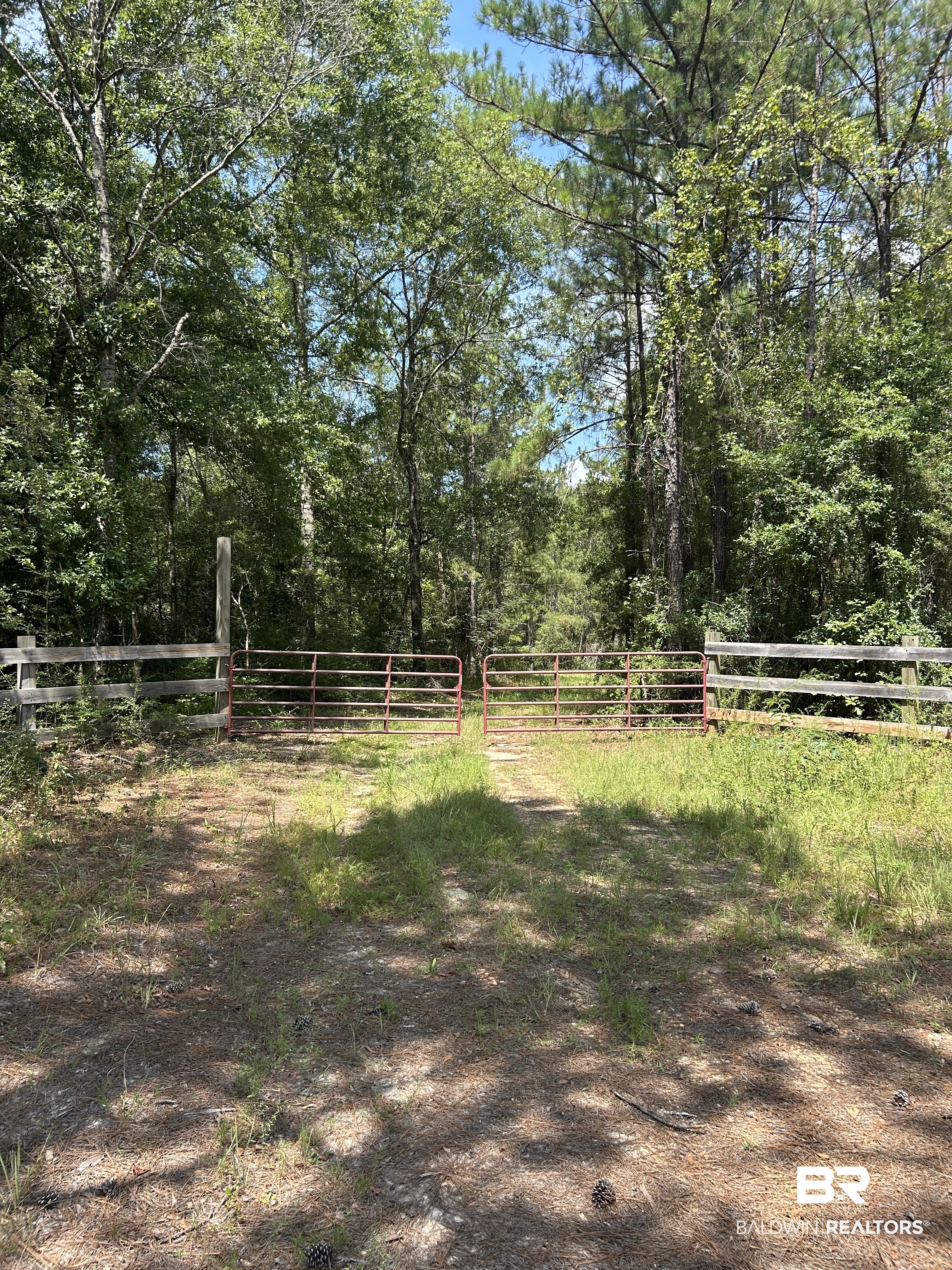 0 Martin Road Greensboro, AL 36744 - Photo 10 of 10 Gallery Image 10
