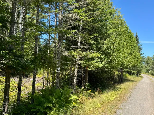 $45,000 | Lot 13 Red Rock Estates, Pembroke, ME 04666