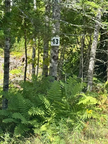 $45,000 | Lot 13 Red Rock Estates, Pembroke, ME 04666