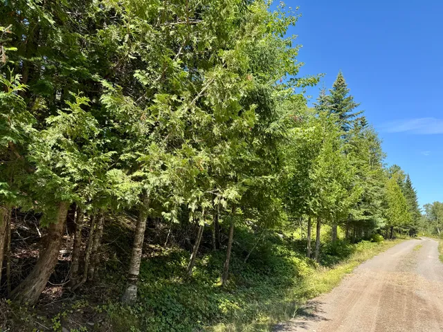 $45,000 | Lot 13 Red Rock Estates, Pembroke, ME 04666