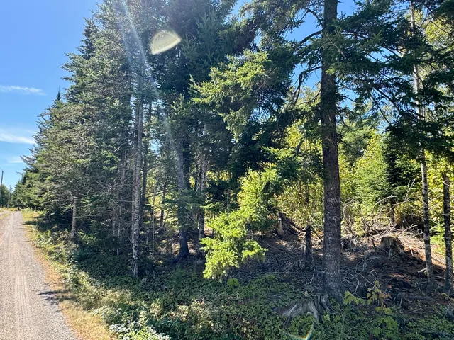 $45,000 | Lot 13 Red Rock Estates, Pembroke, ME 04666