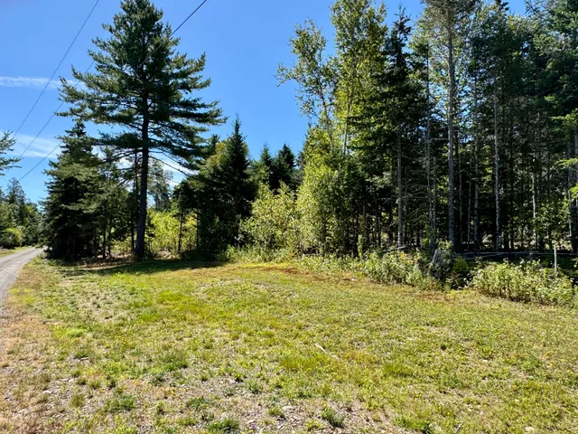 $45,000 | Lot 13 Red Rock Estates, Pembroke, ME 04666