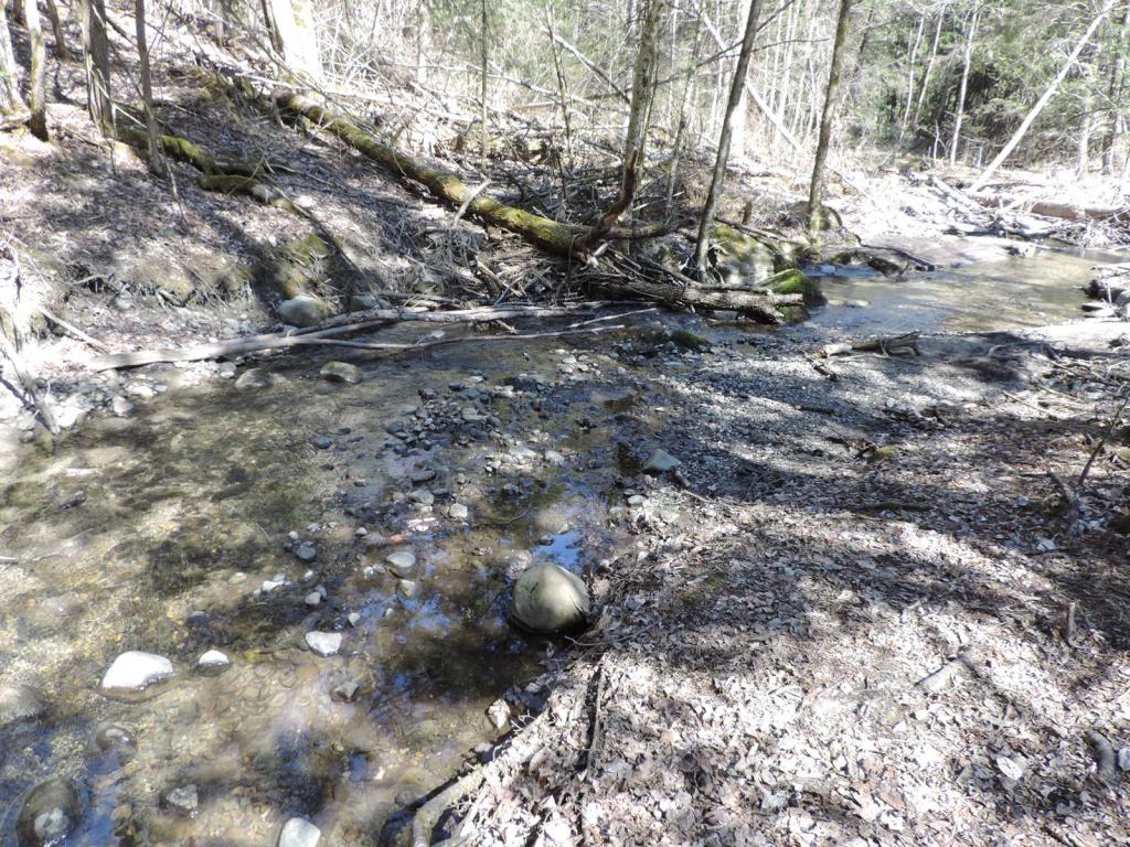 804 Darling Hill Road Derby, VT 05855 - Photo 24 of 24 Gallery Image 24