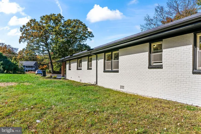 a backyard of a house with plants and large tree