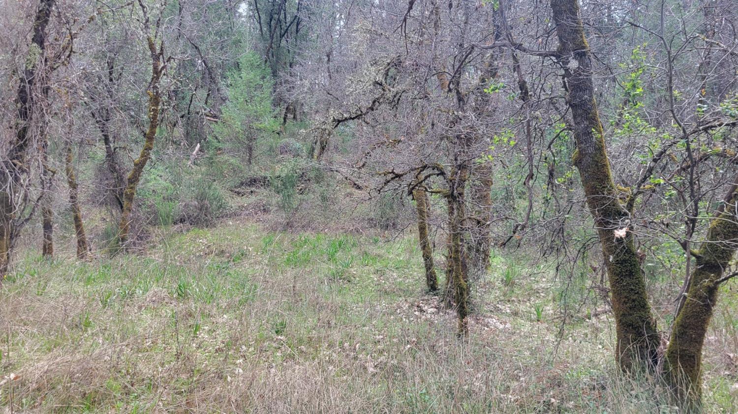 3291 Stage Trail Road Greenwood, CA 95635 - Photo 12 of 23