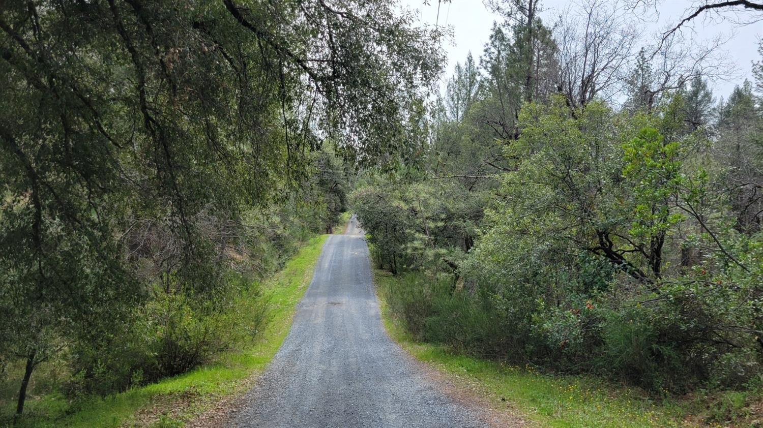 3291 Stage Trail Road Greenwood, CA 95635 - Photo 3 of 23