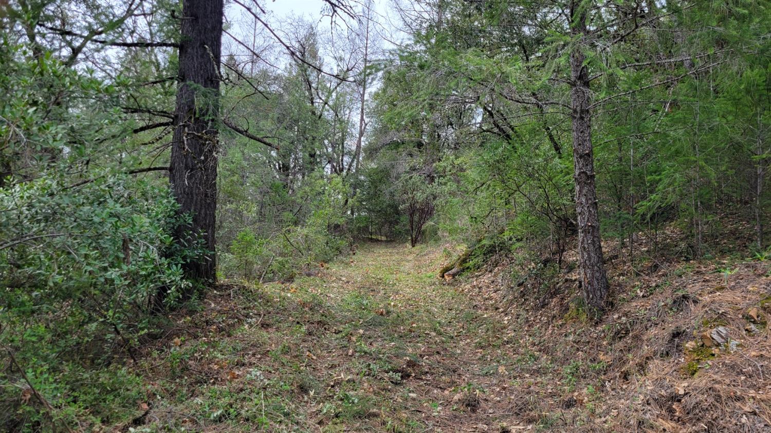 3291 Stage Trail Road Greenwood, CA 95635 - Photo 4 of 23