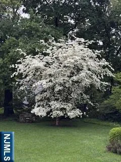 a view of a lake with houses