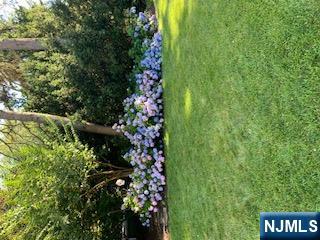 18 Tonawanda Road Glen Rock, NJ 07452 - Photo 37 of 37 a view of a garden