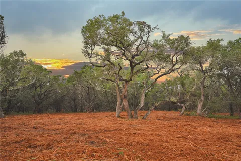 a backyard of a house with large trees
