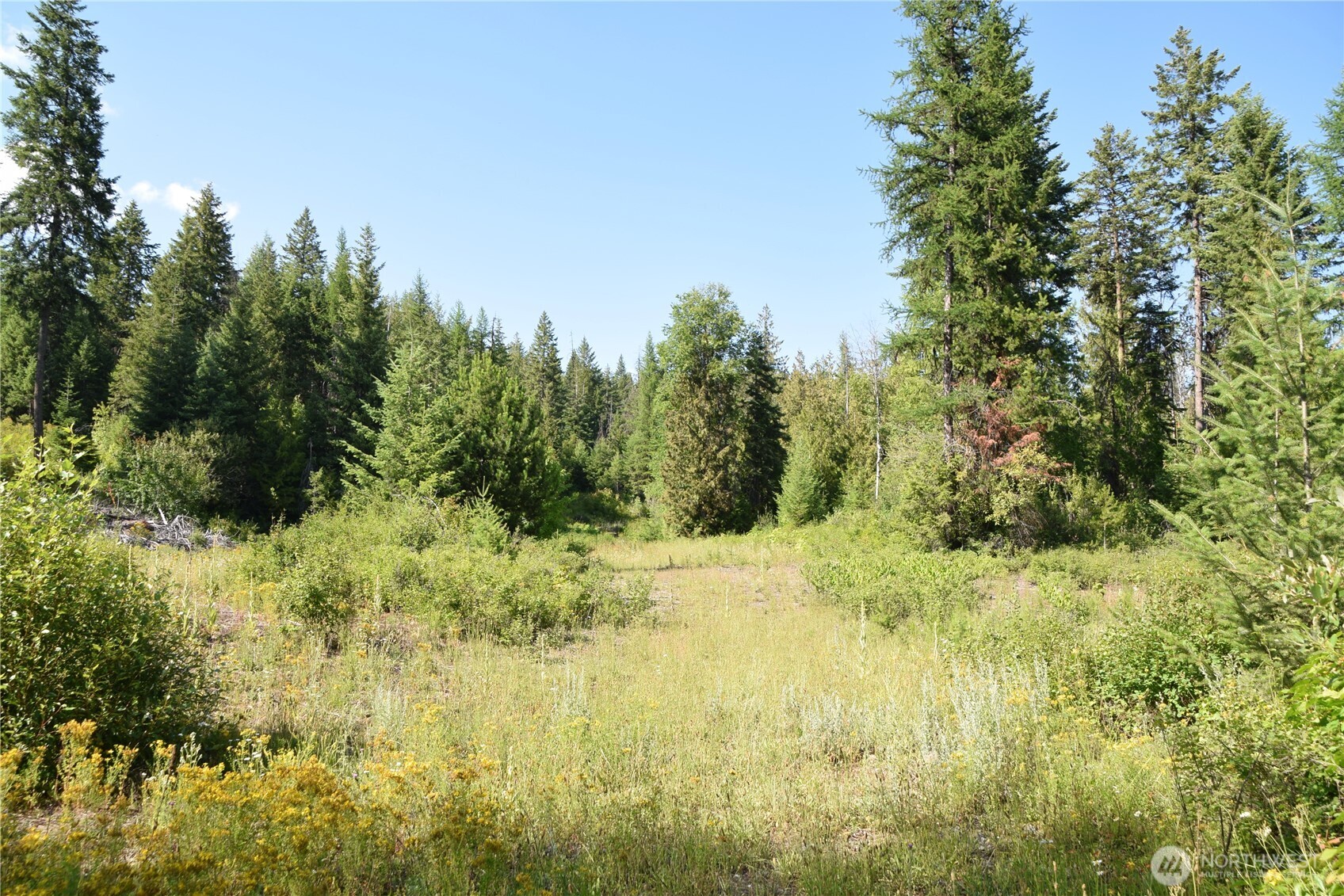 2518 Bodie Mountain Road Colville, WA 99114 - Photo 36 of 40