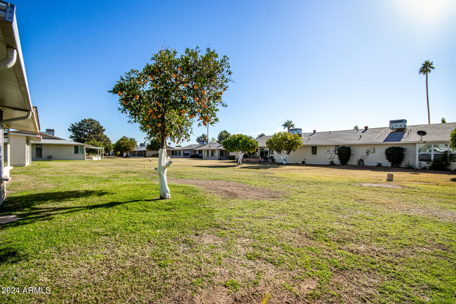 10819 West Hatcher Road Sun City, AZ 85351 - Photo 37 of 51 37 Backyard