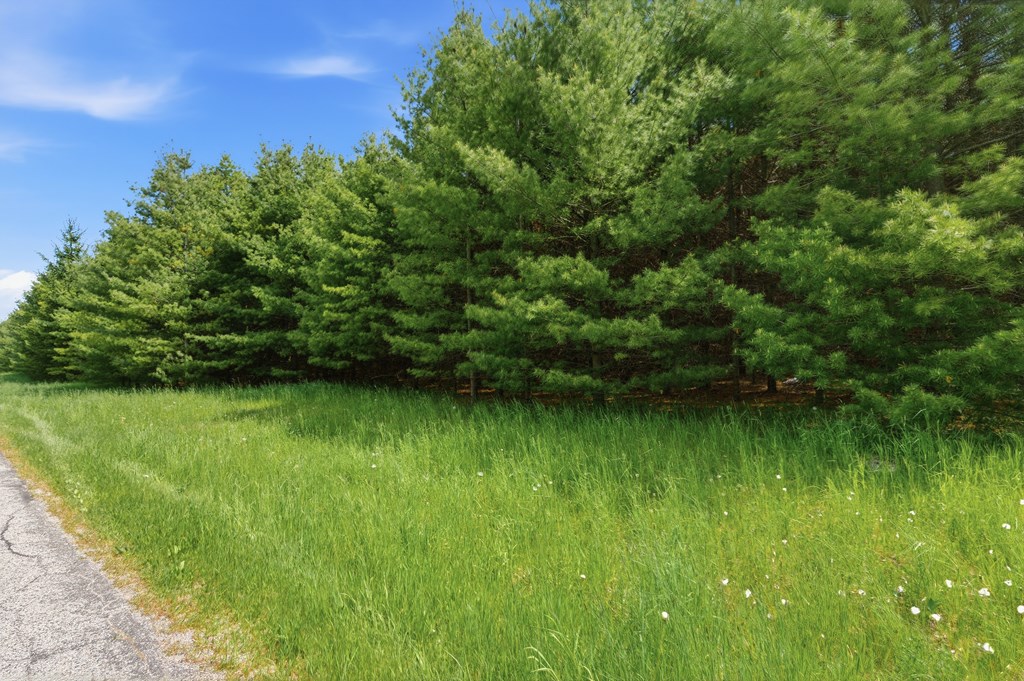 Lot 1 Sunset Road Baileys Harbor, WI 54202 - Photo 19 of 19