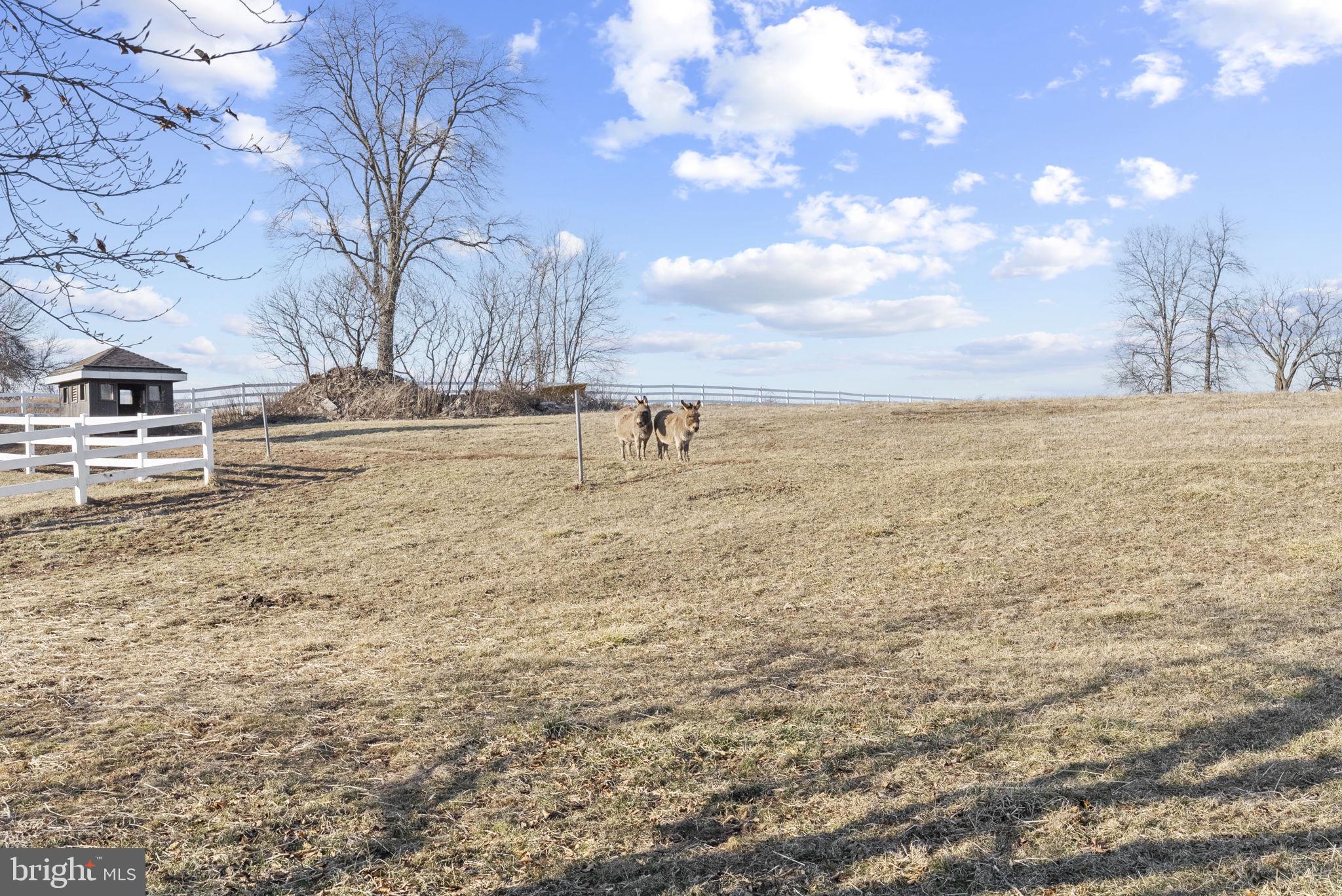 185 Spring Hollow Road Spring City, PA 19475 - Photo 24 of 33 a view of a yard with wooden fence