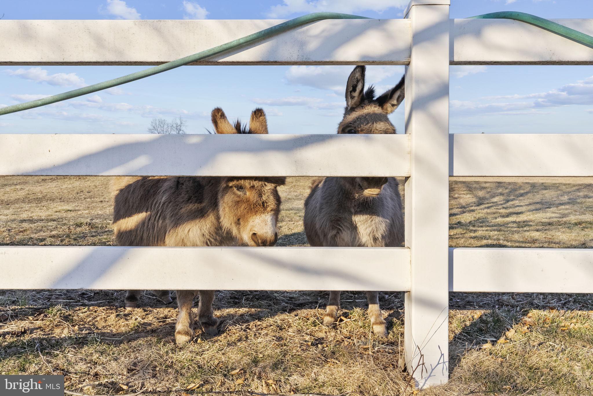 185 Spring Hollow Road Spring City, PA 19475 - Photo 25 of 33 a view of living room