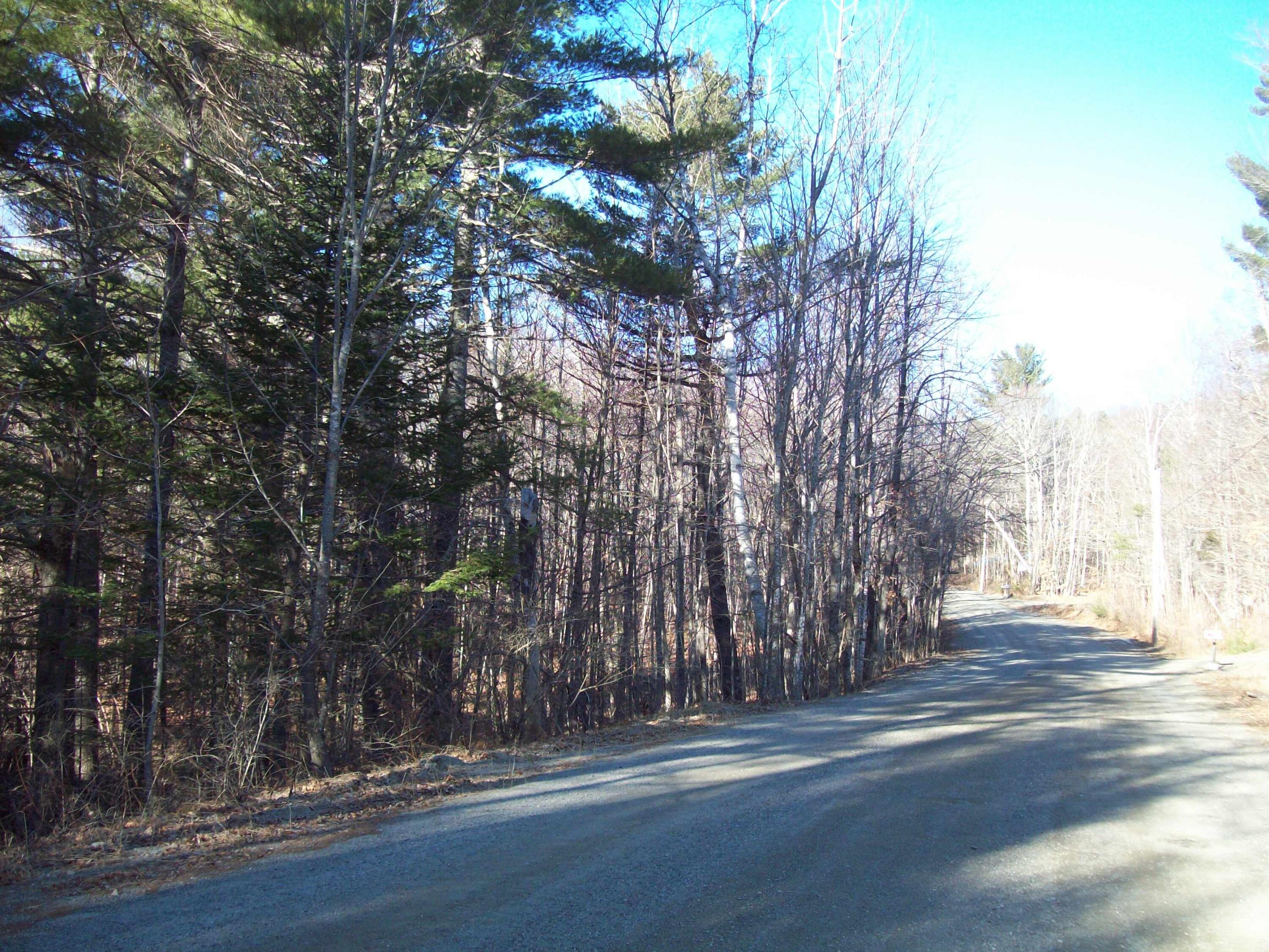 Tbd Half Township Road Lincoln, ME 04457 - Photo 7 of 12 100_2491