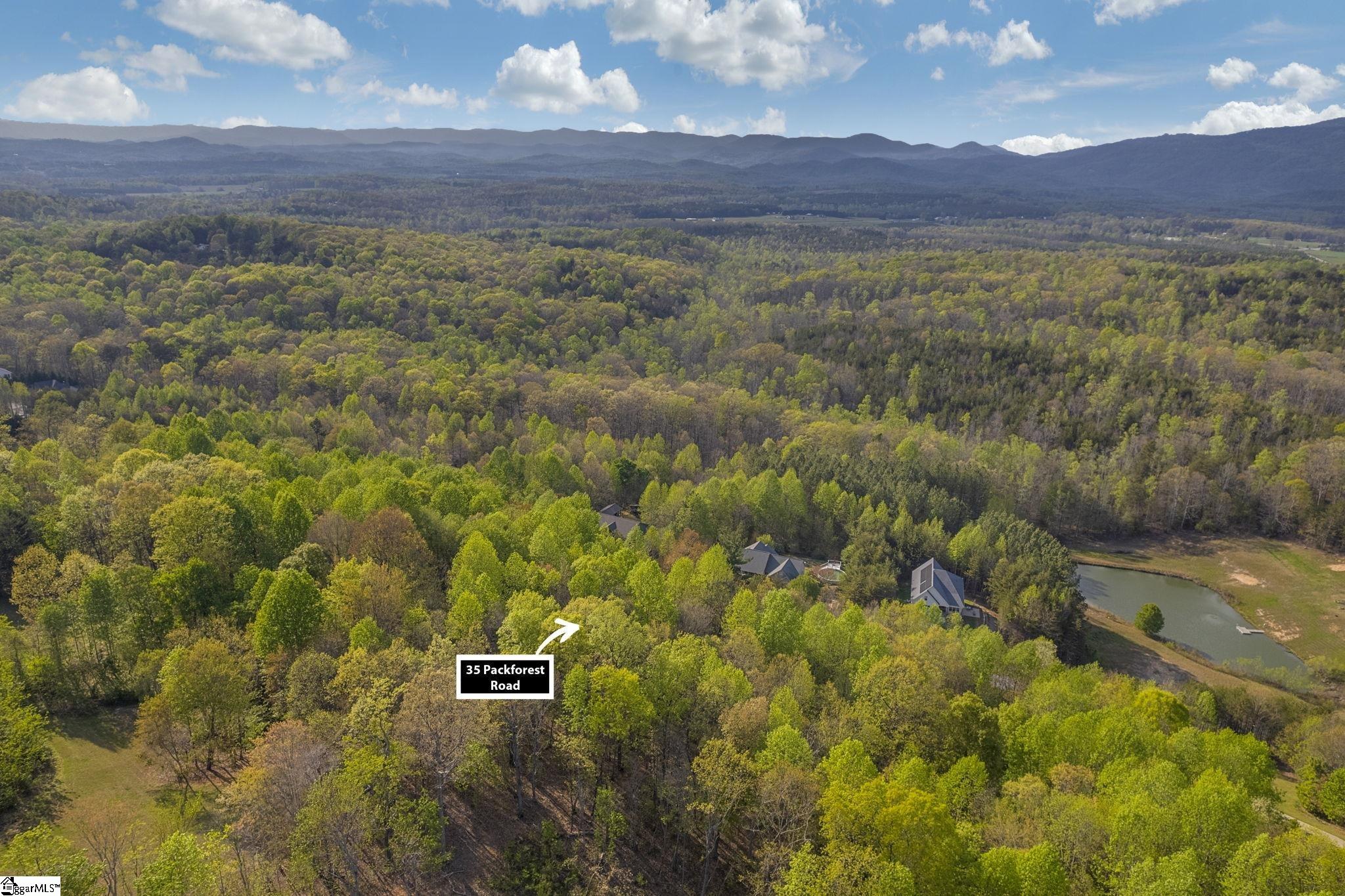 35 Packforest Taylors, SC 29687 - Photo 11 of 14 Gallery Image 11