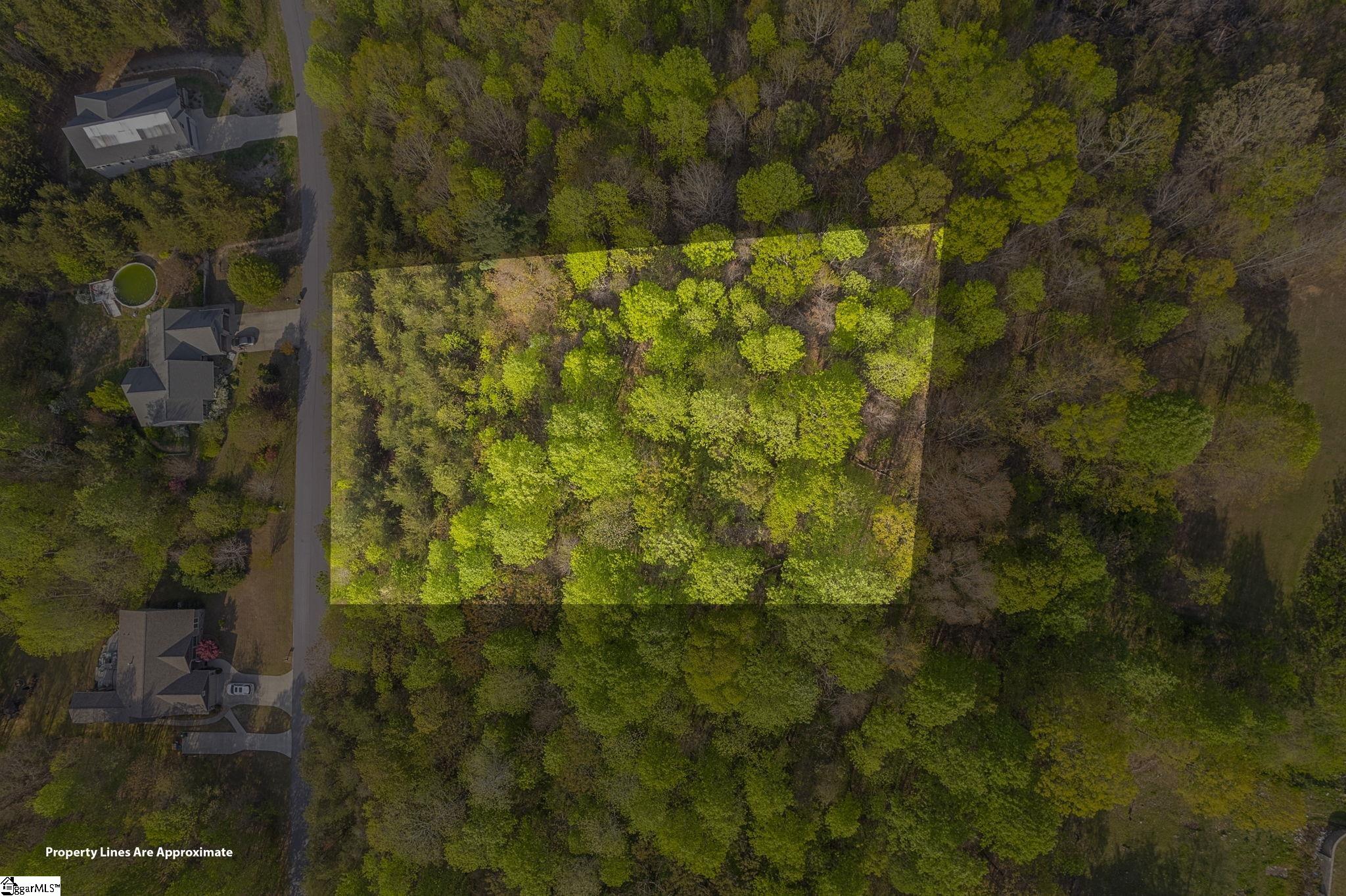 35 Packforest Taylors, SC 29687 - Photo 13 of 14 Gallery Image 13
