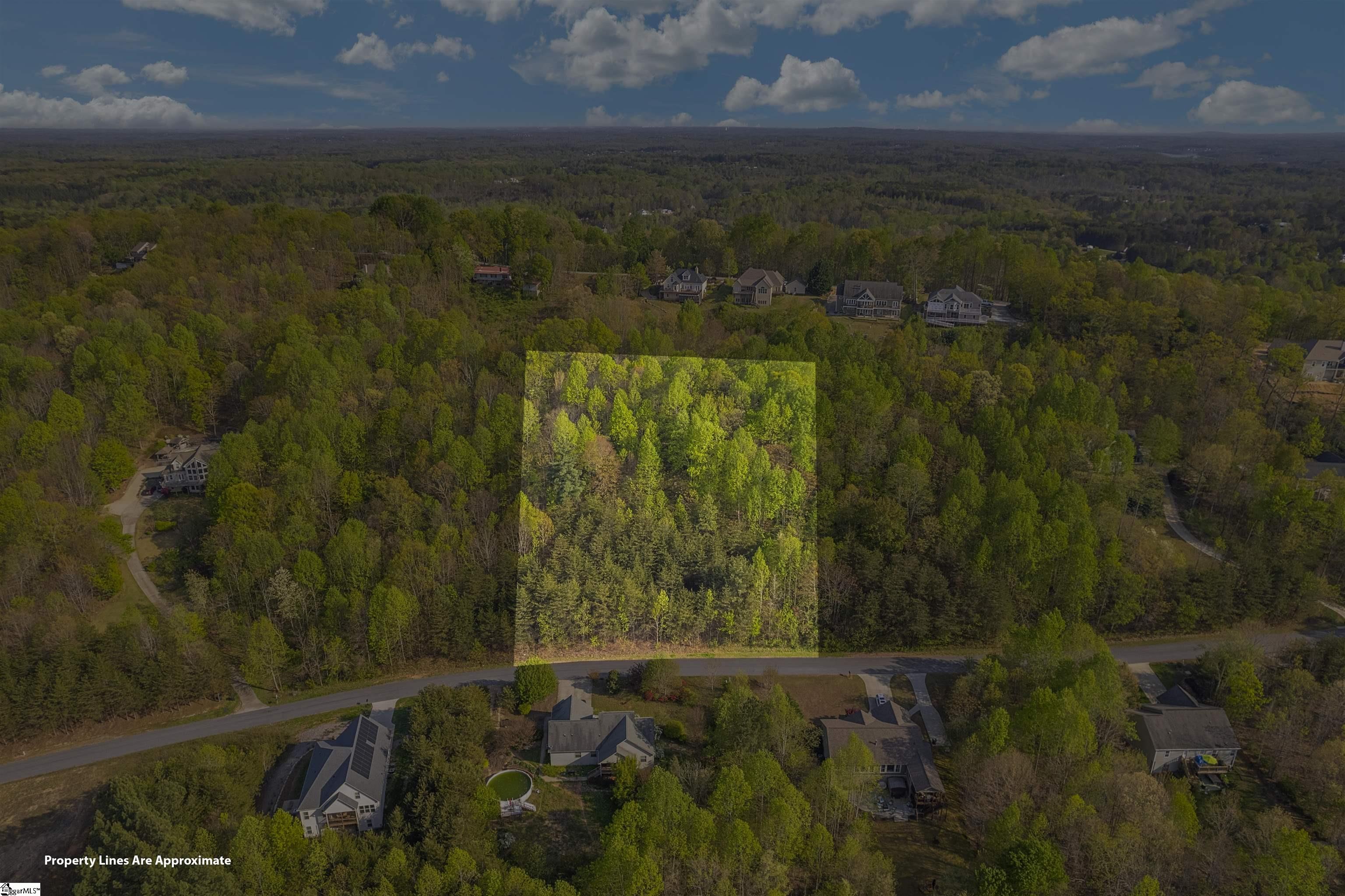35 Packforest Taylors, SC 29687 - Photo 3 of 14 Gallery Image 3