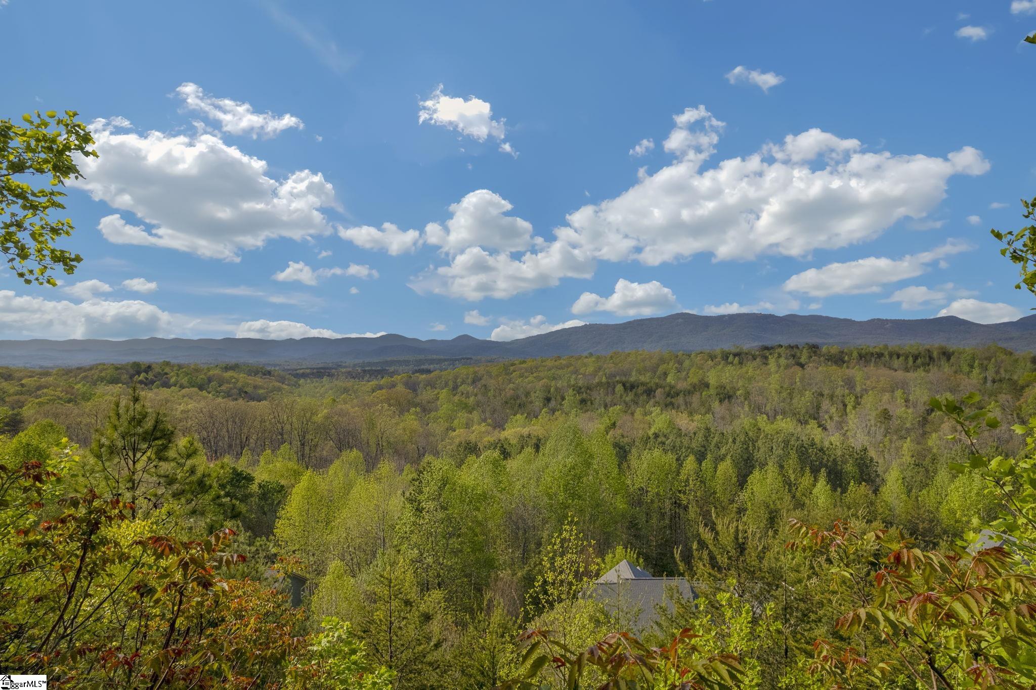 35 Packforest Taylors, SC 29687 - Photo 4 of 14 Gallery Image 4