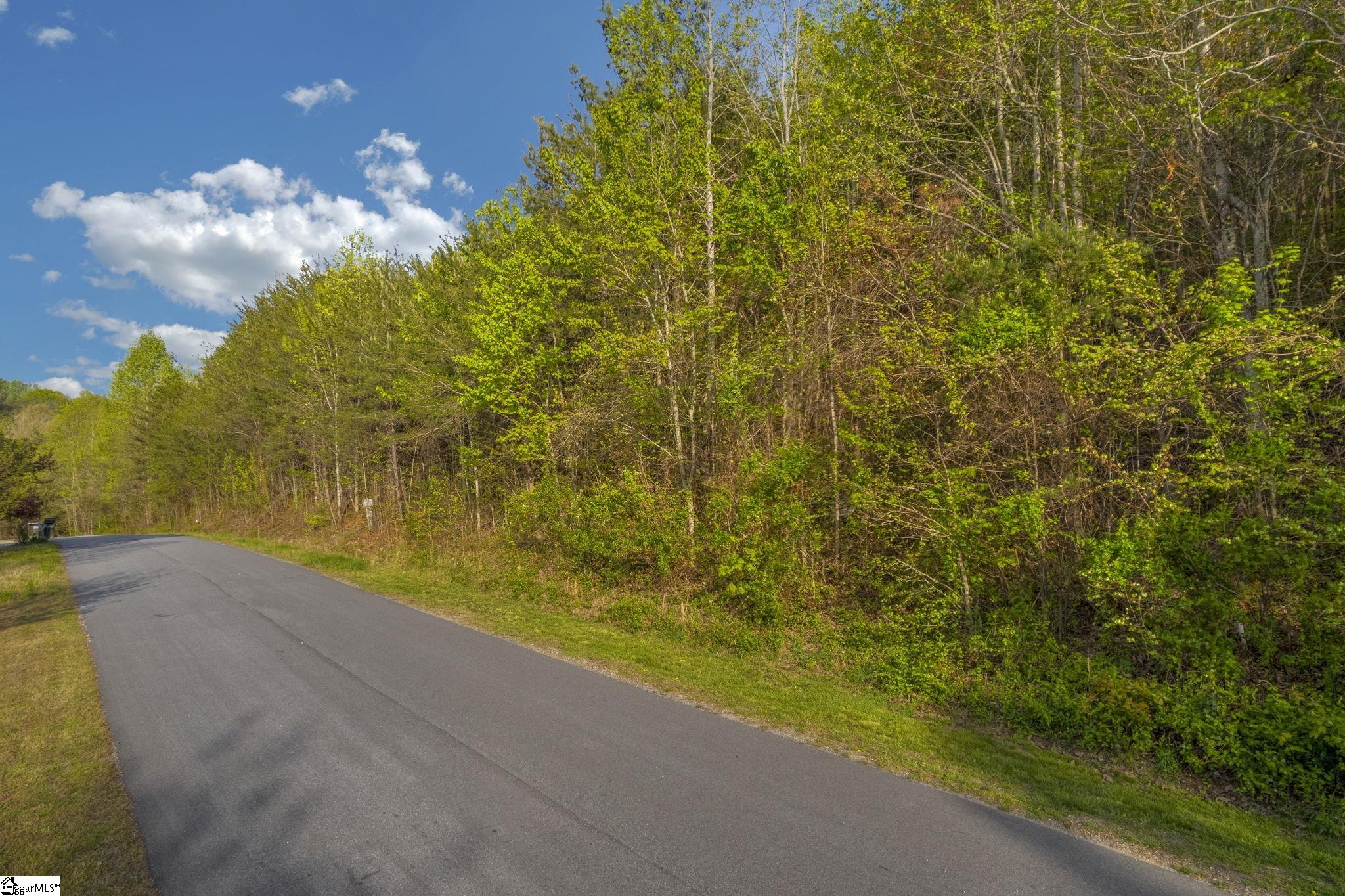 35 Packforest Taylors, SC 29687 - Photo 5 of 14 Gallery Image 5