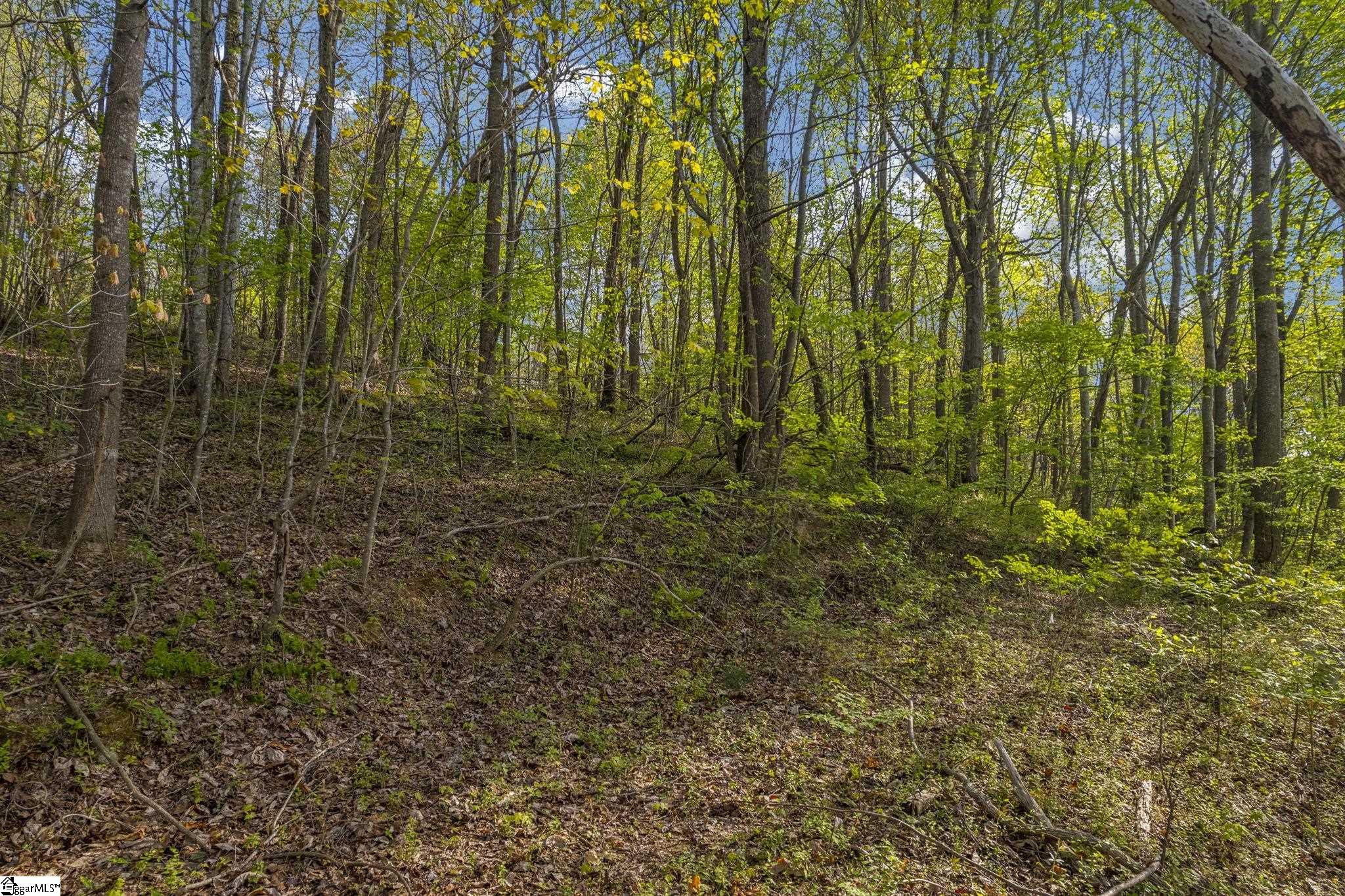 35 Packforest Taylors, SC 29687 - Photo 6 of 14 Gallery Image 6