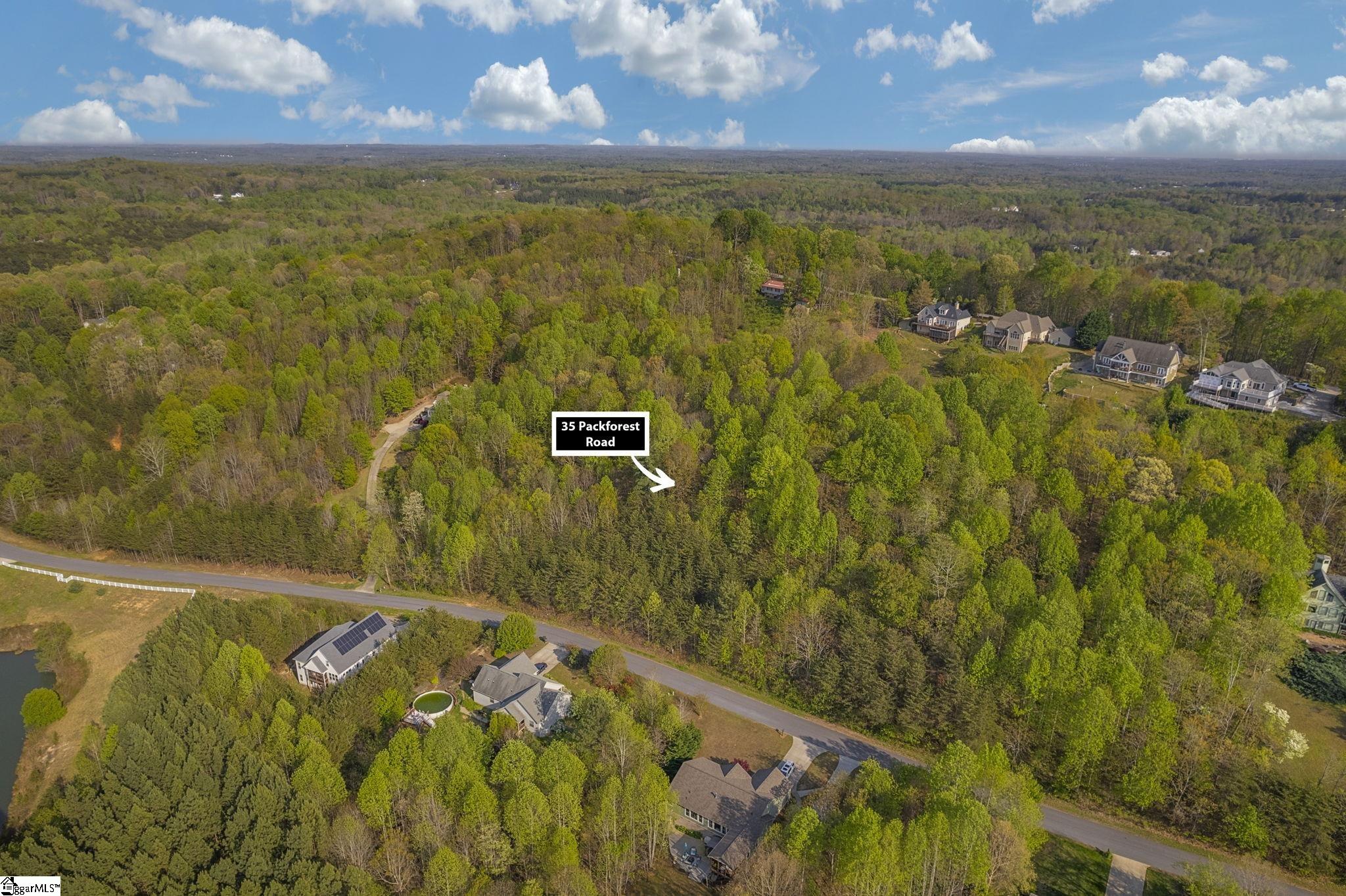 35 Packforest Taylors, SC 29687 - Photo 10 of 14 Gallery Image 10