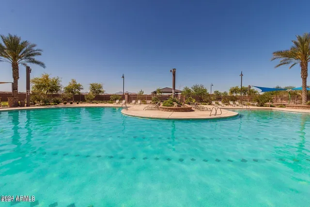 a view of a backyard with plants and palm tree