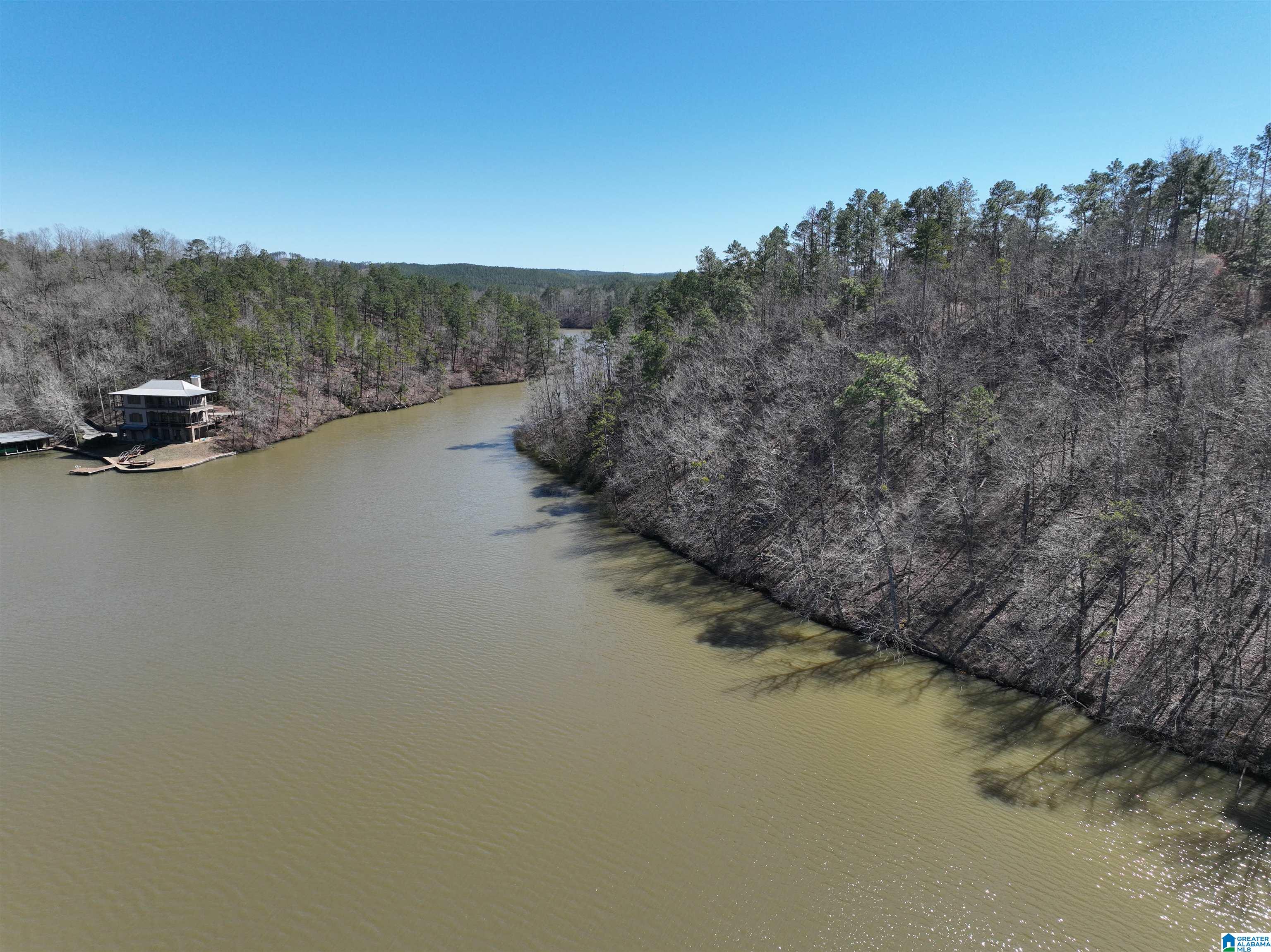 0 Preserve Road, Unit LOT 1 Rockford, AL 35136 - Photo 5 of 7
