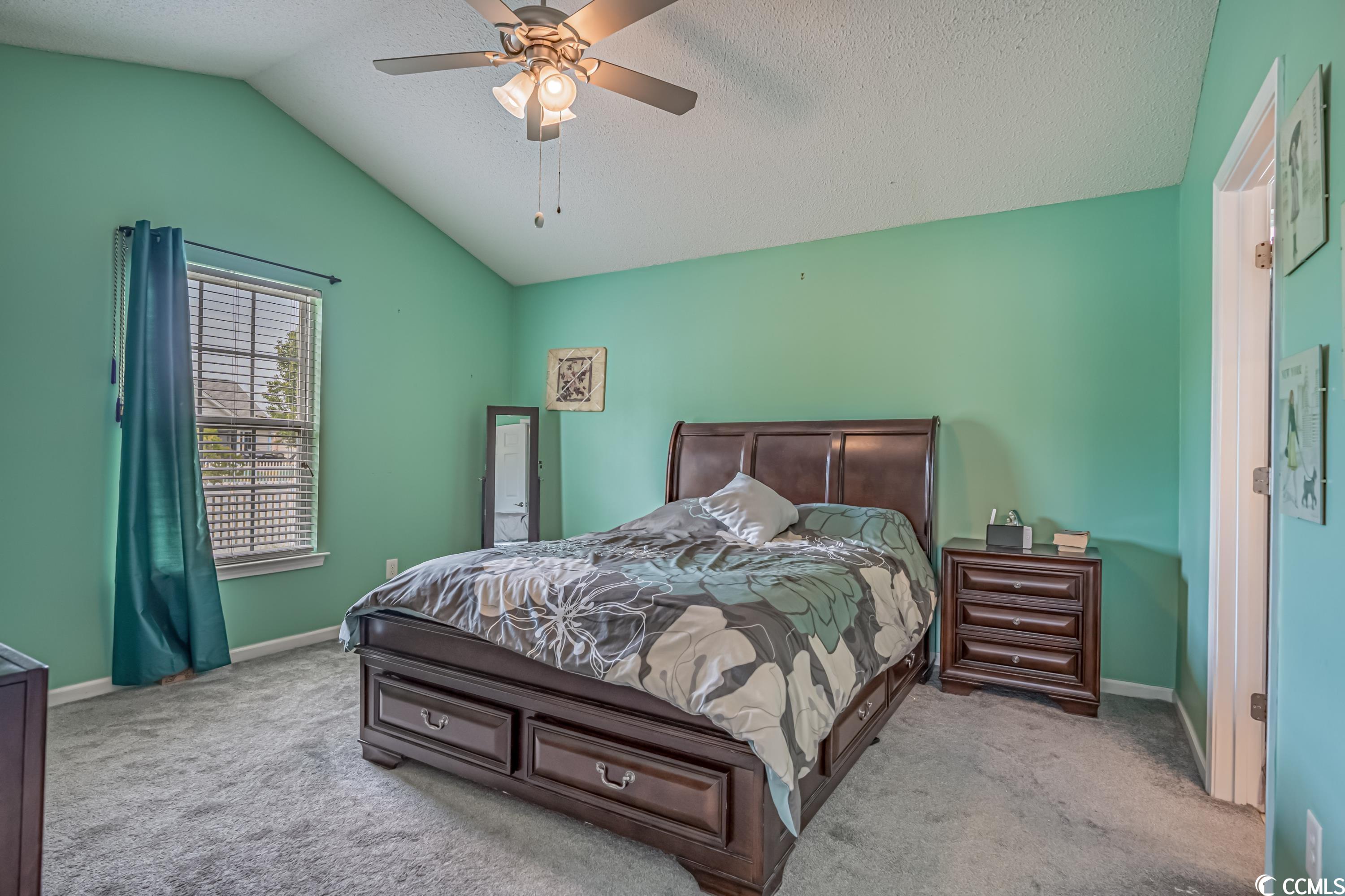 269 Palladium Drive Myrtle Beach, SC 29575 - Photo 19 of 39