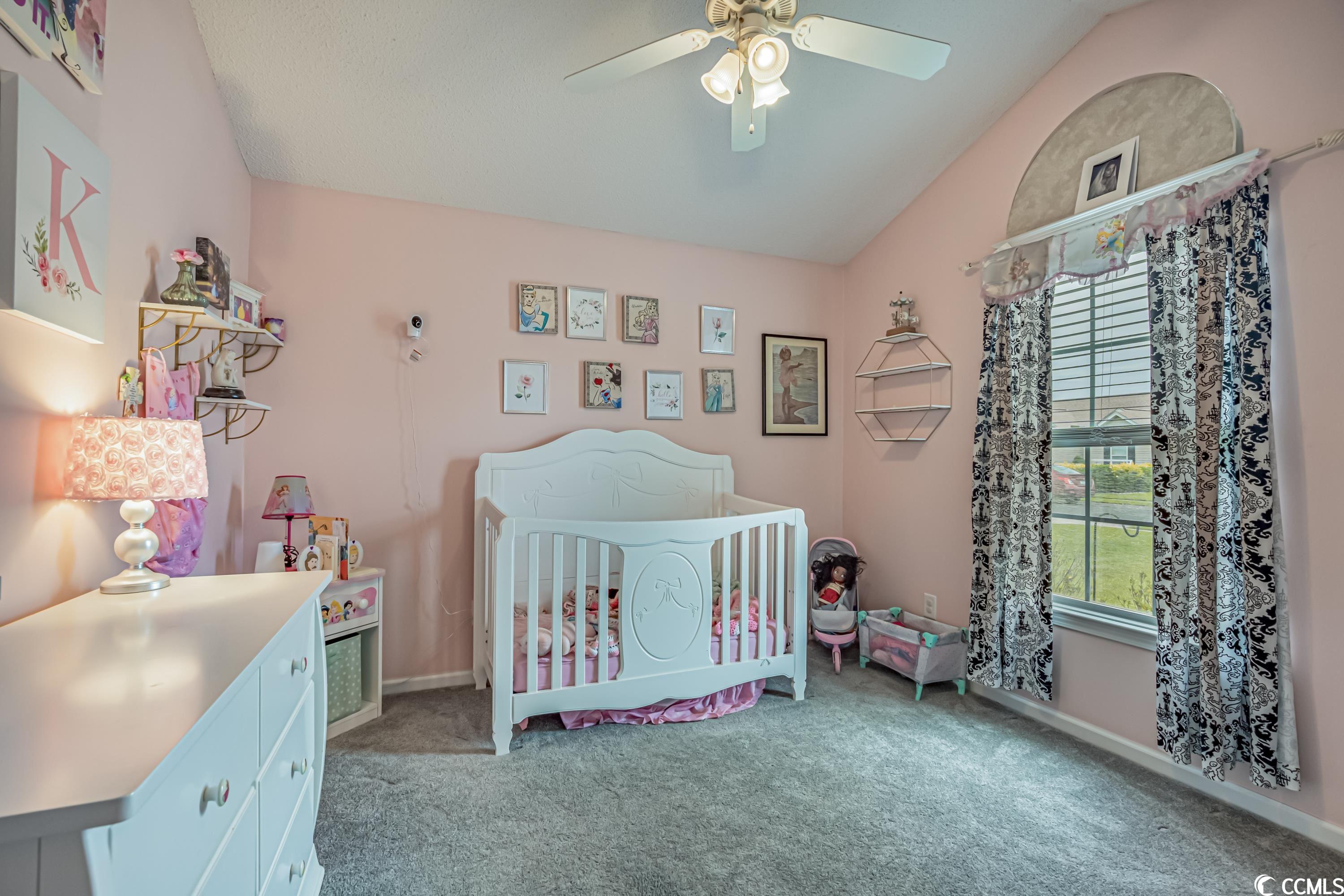 269 Palladium Drive Myrtle Beach, SC 29575 - Photo 25 of 39