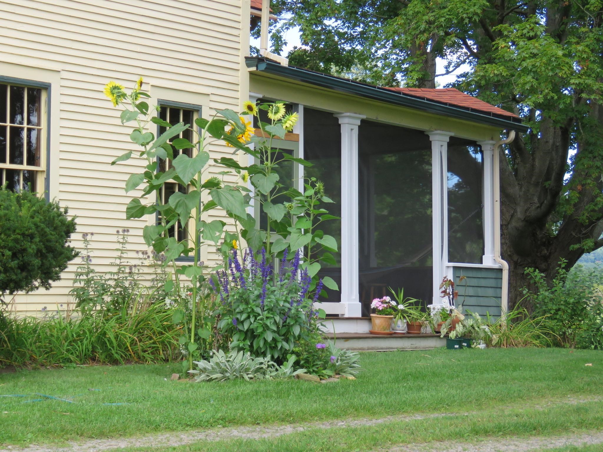 1844 Halladay Road Middlebury, VT 05753 - Photo 15 of 60