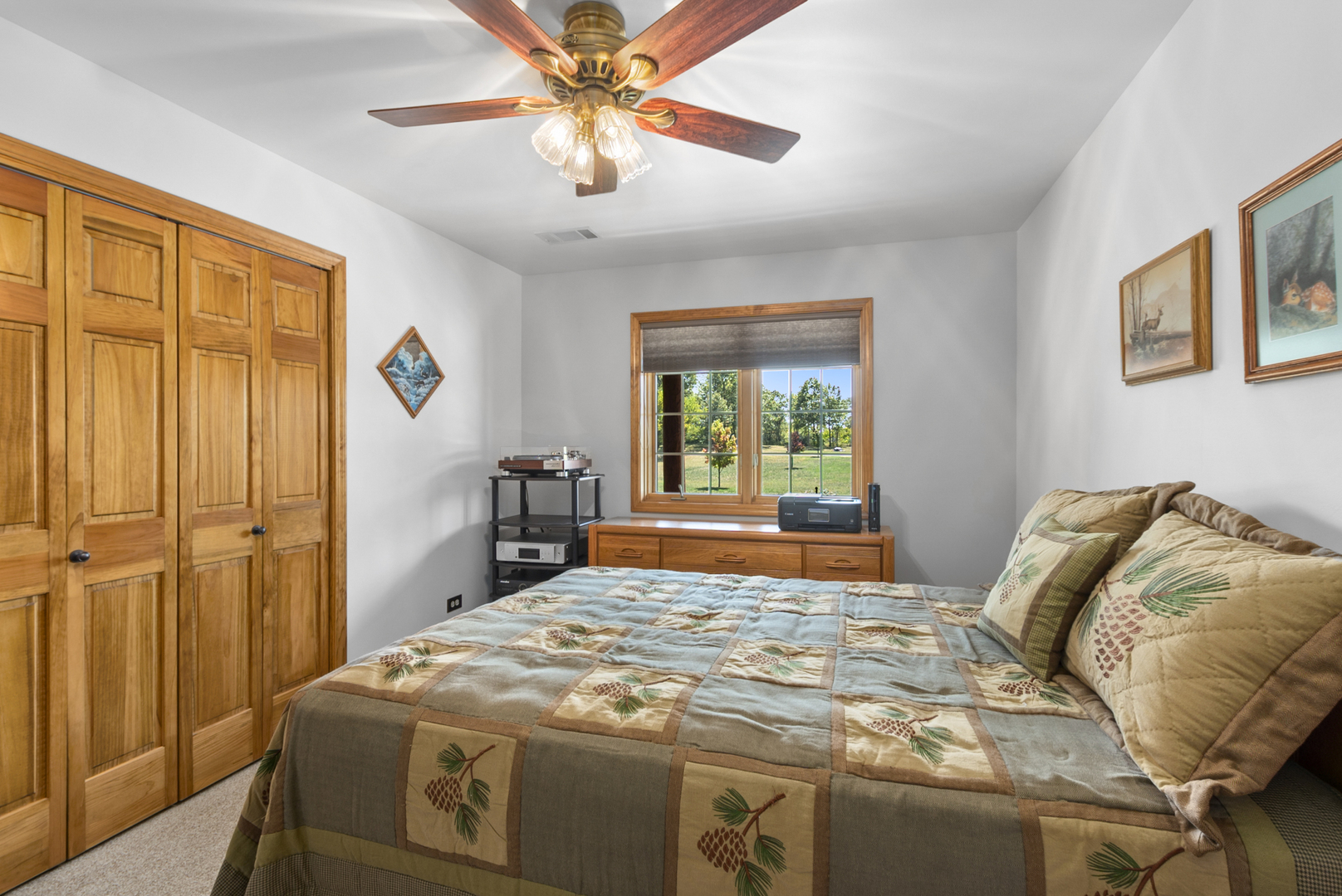 24610 West Smiley Road Braidwood, IL 60408 - Photo 16 of 33 Gallery Image 16