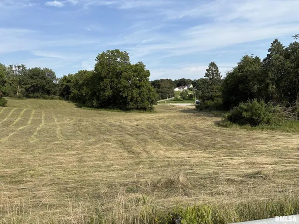 a view of a field of grass and trees