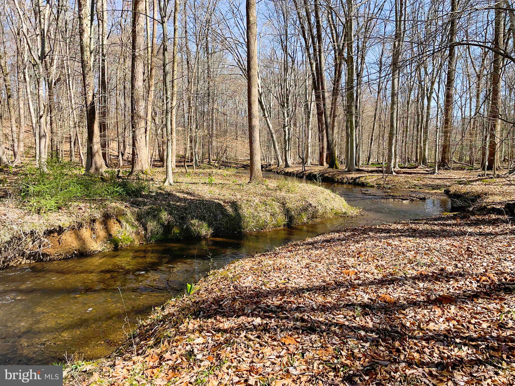 13230 Compton Road Clifton, VA 20124 - Photo 74 of 78 Gallery Image 74