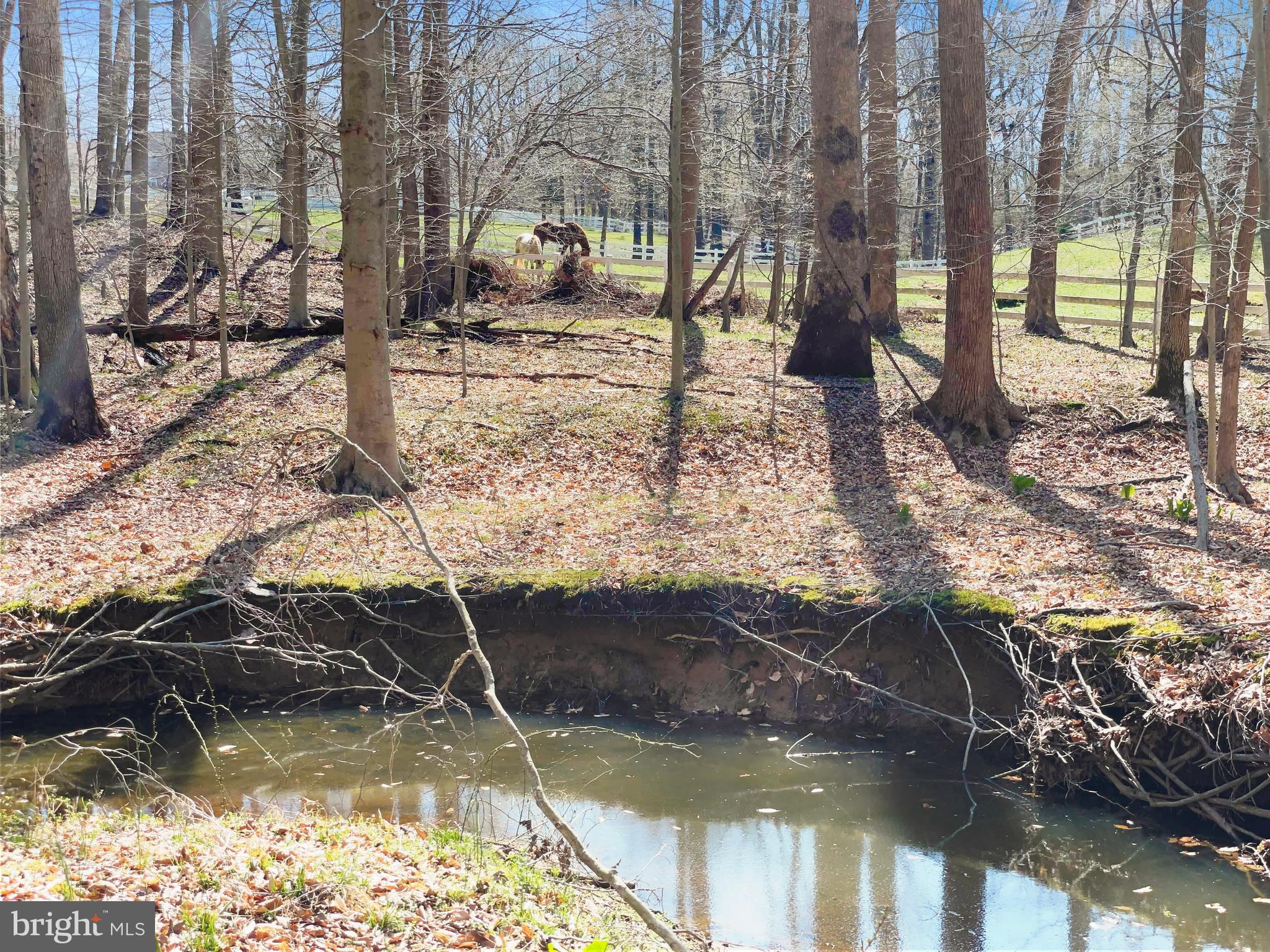 13230 Compton Road Clifton, VA 20124 - Photo 75 of 78 Gallery Image 75