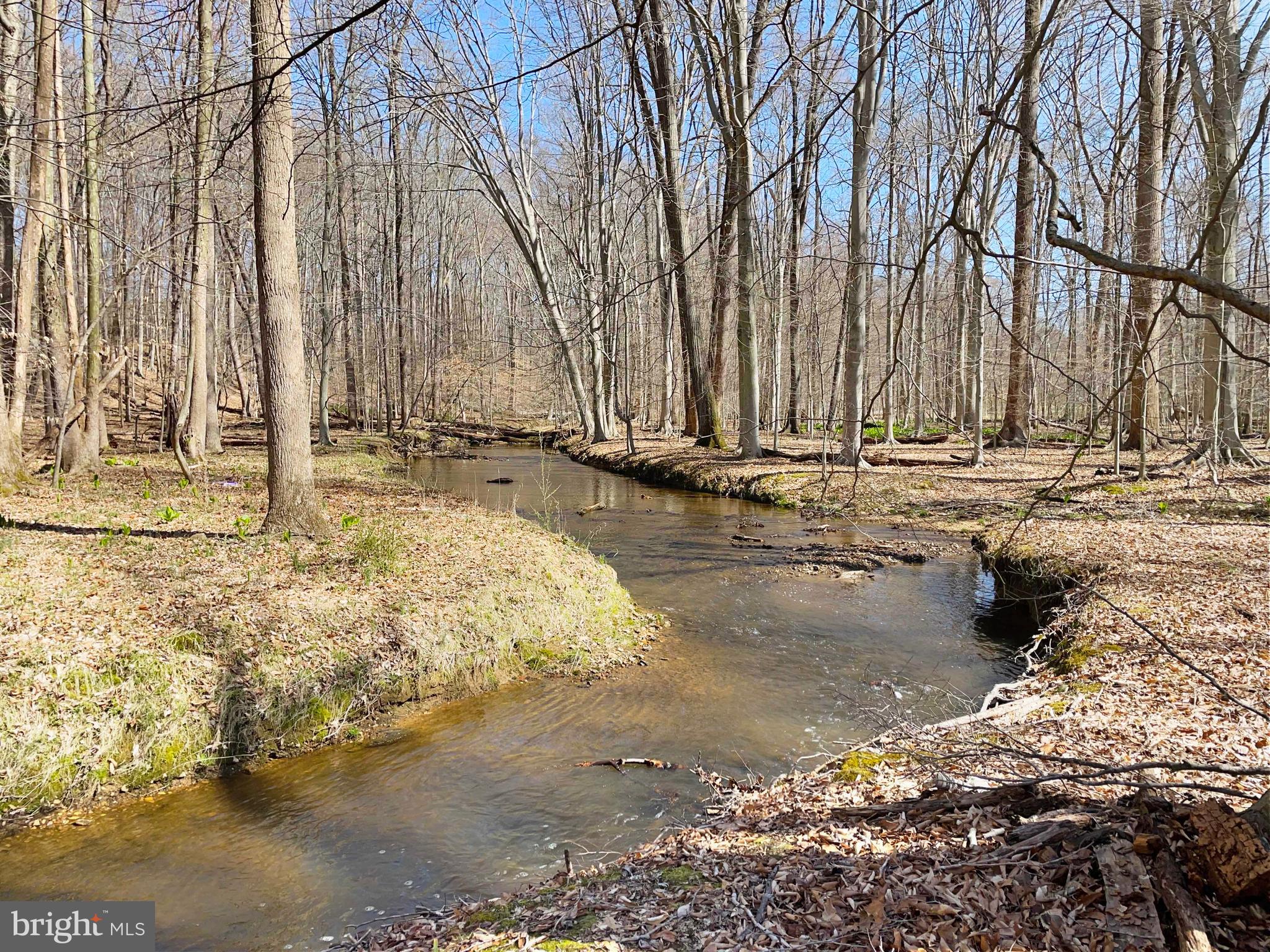 13230 Compton Road Clifton, VA 20124 - Photo 76 of 78 Gallery Image 76