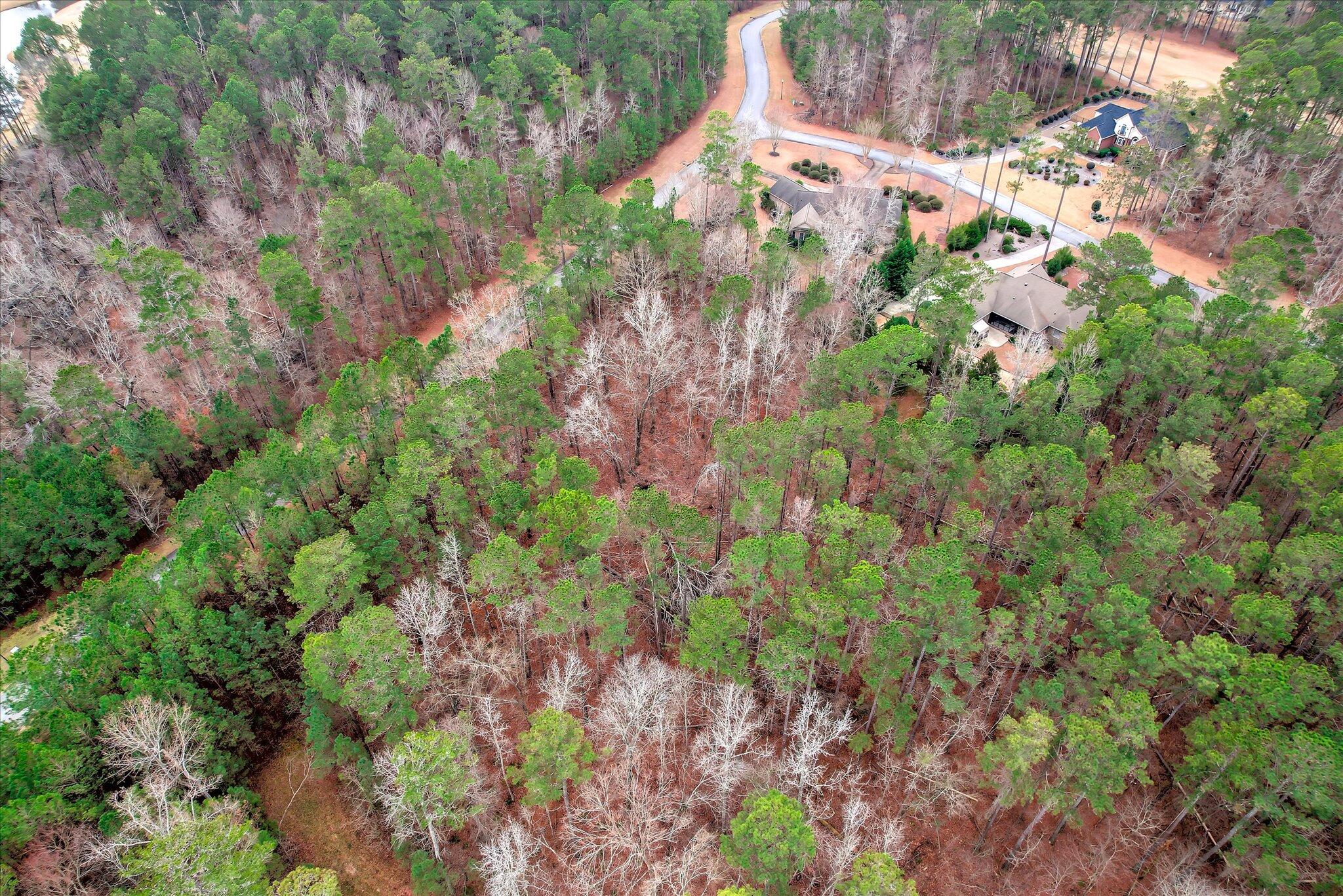 Lot K-18 Lot K-18 Collin Reeds Road Edgefield, SC 29824 - Photo 10 of 24