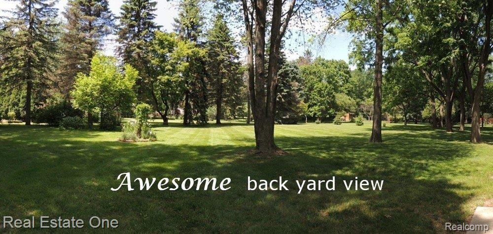 1428 East Avon Circle Rochester, MI 48309 - Photo 21 of 21 BACK YARD VIEW