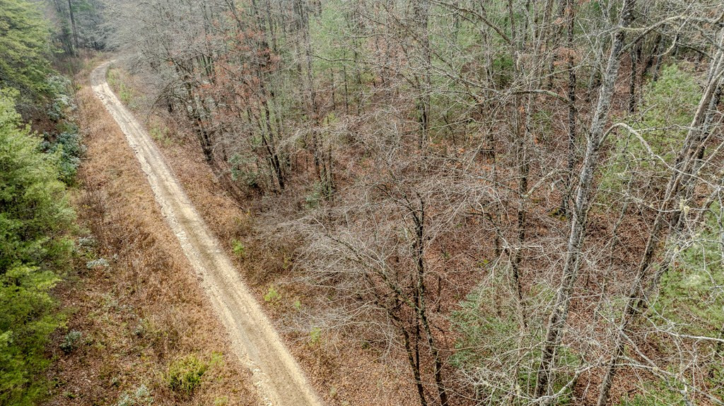 1.03 Deep Frst Road Murphy, NC 28906 - Photo 20 of 28
