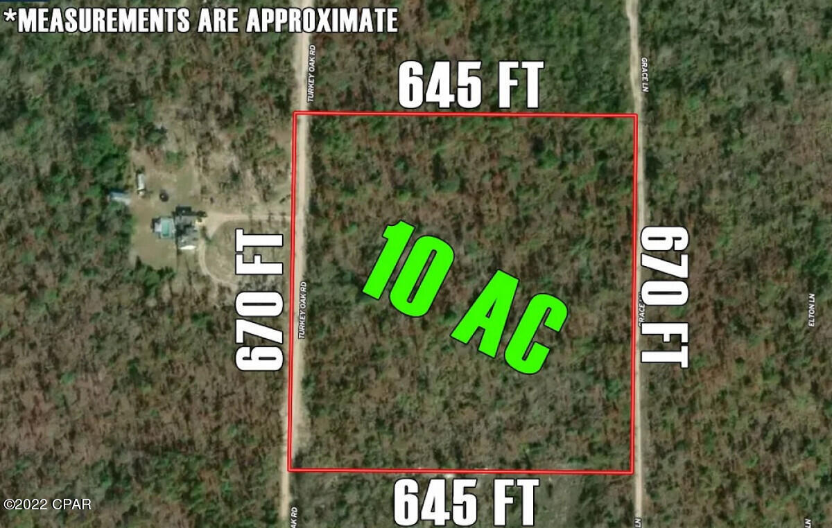 0 Turkey Oak Road Fountain, FL 32438 - Photo 9 of 9 Gallery Image 9