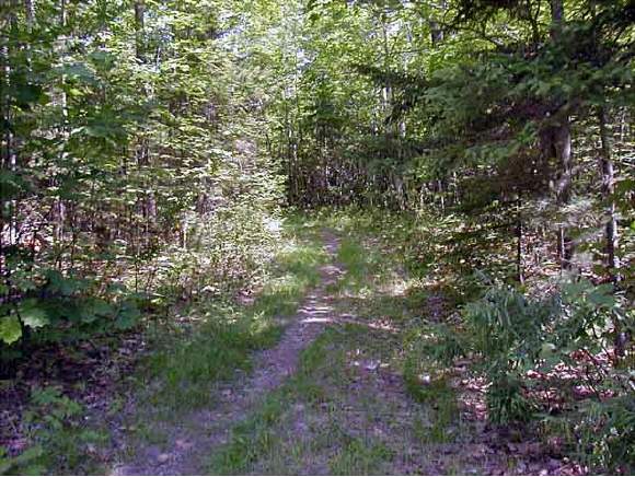 0 Gore Road Warner, NH 03278 - Photo 1 of 4