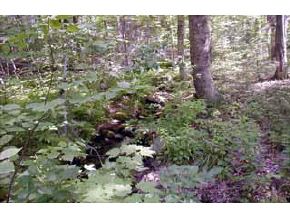0 Gore Road Warner, NH 03278 - Photo 2 of 4