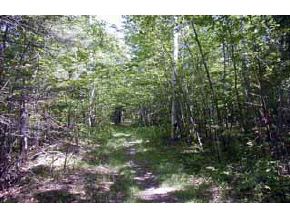 0 Gore Road Warner, NH 03278 - Photo 3 of 4