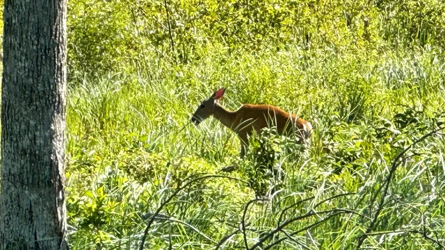 $190,000 | 16794 Driftwood Street, McGregor, MN 55760